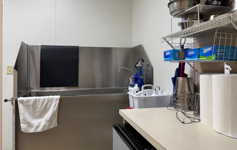 A grooming and cleaning station ready for use in the animal clinic.