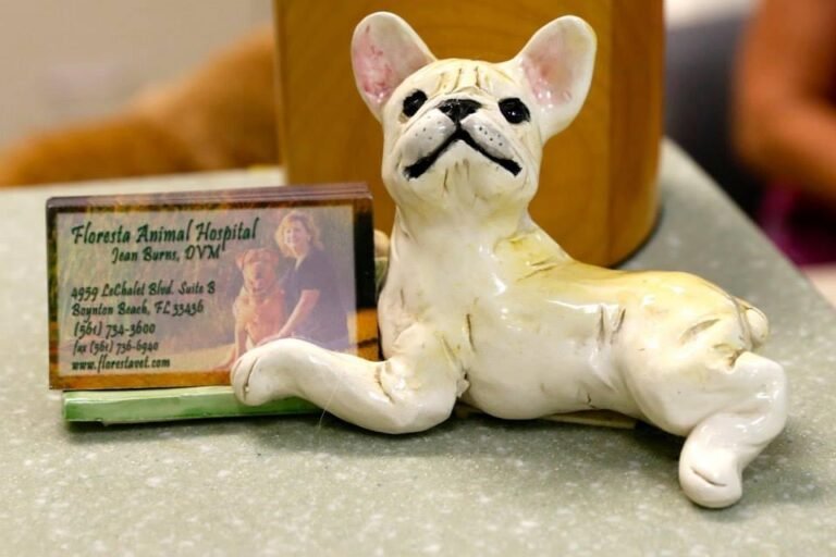 A ceramic French bulldog figurine displayed beside an animal hospital business card on a counter.