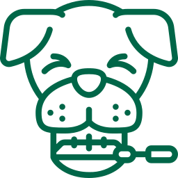 Dog dental care icon