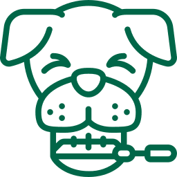Dog dentistry icon
