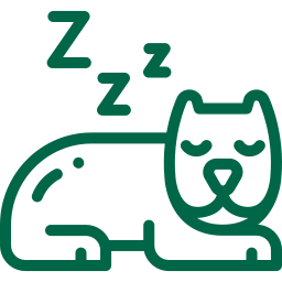 Pet rest and relaxation illustration.