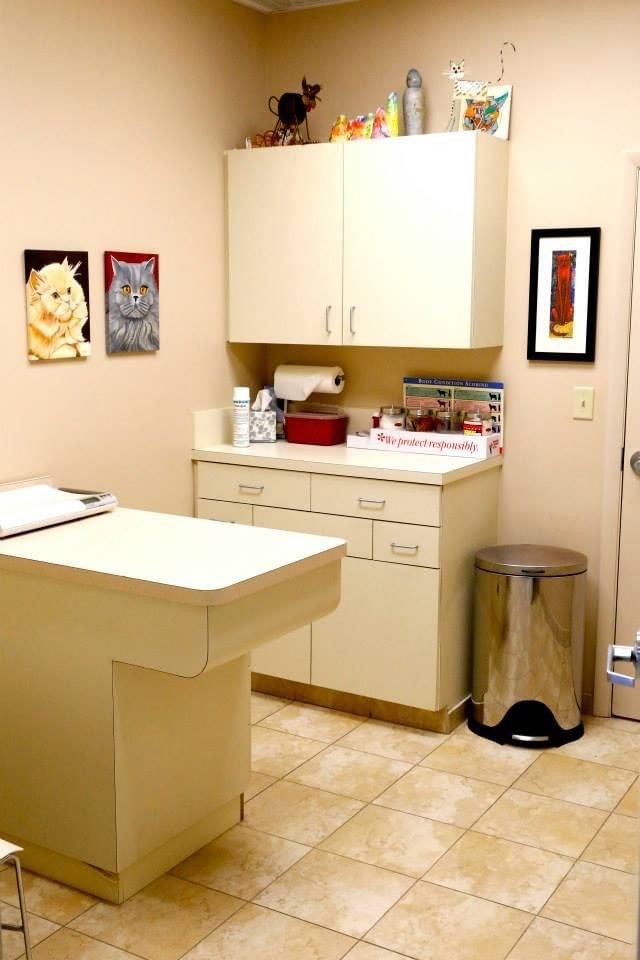 Veterinary exam room with a treatment table, cabinets, pet artwork, and organized medical supplies.