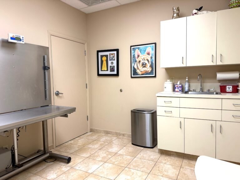 A clean veterinary exam room featuring a stainless steel exam table, cabinets, a sink area, and framed dog artwork on the wall.