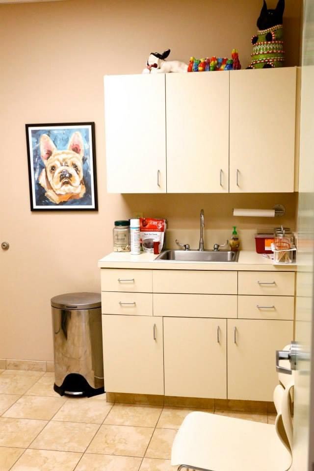 A veterinary exam room with cabinets, a sink area, medical supplies, a stainless steel trash bin, and dog artwork on the wall.