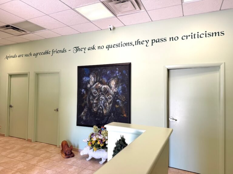 A veterinary clinic lobby featuring a large dog painting, decorative flowers, and a wall quote about animals.