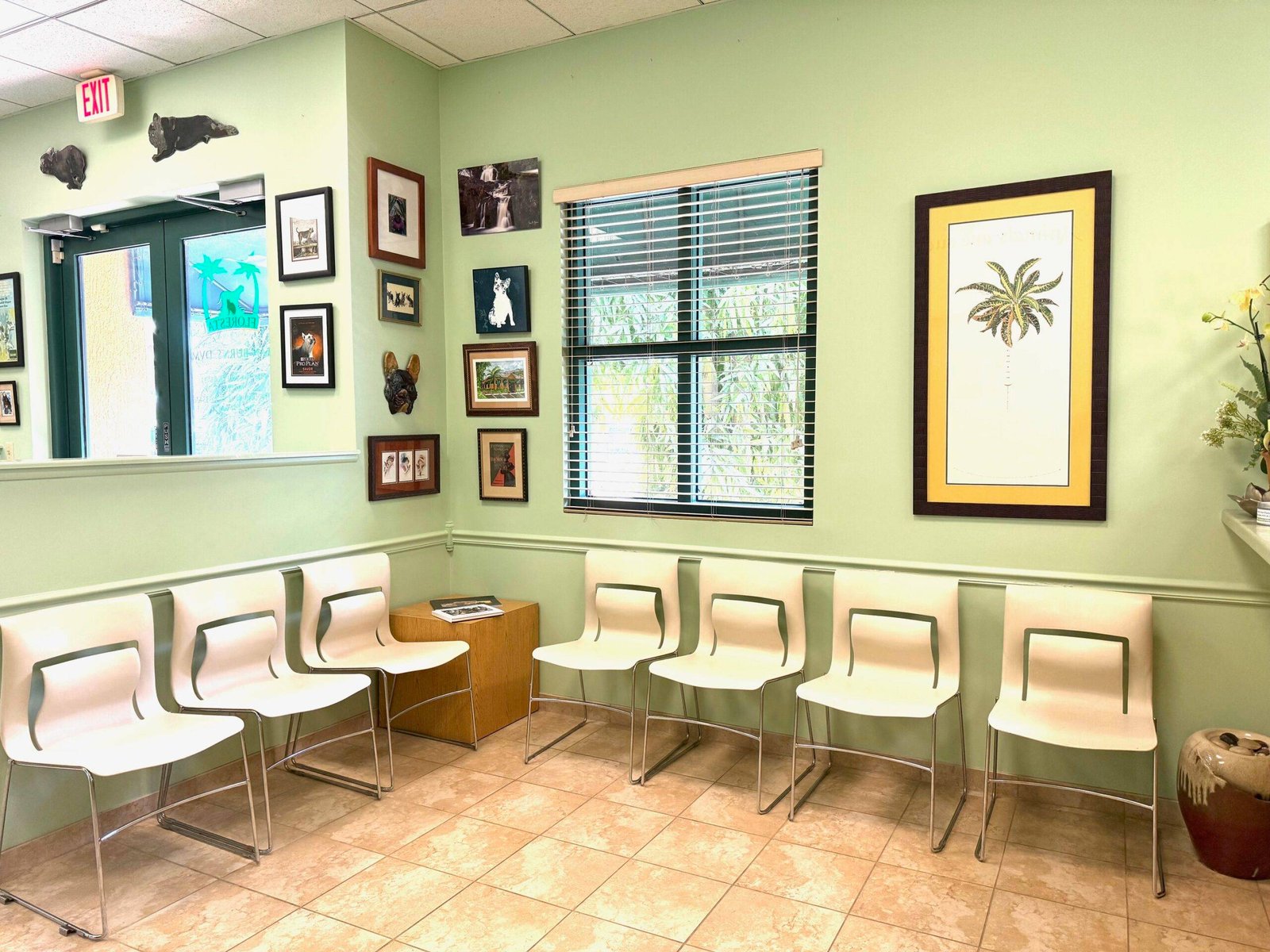 Thumbnail 1 of Floresta Animal Hospital