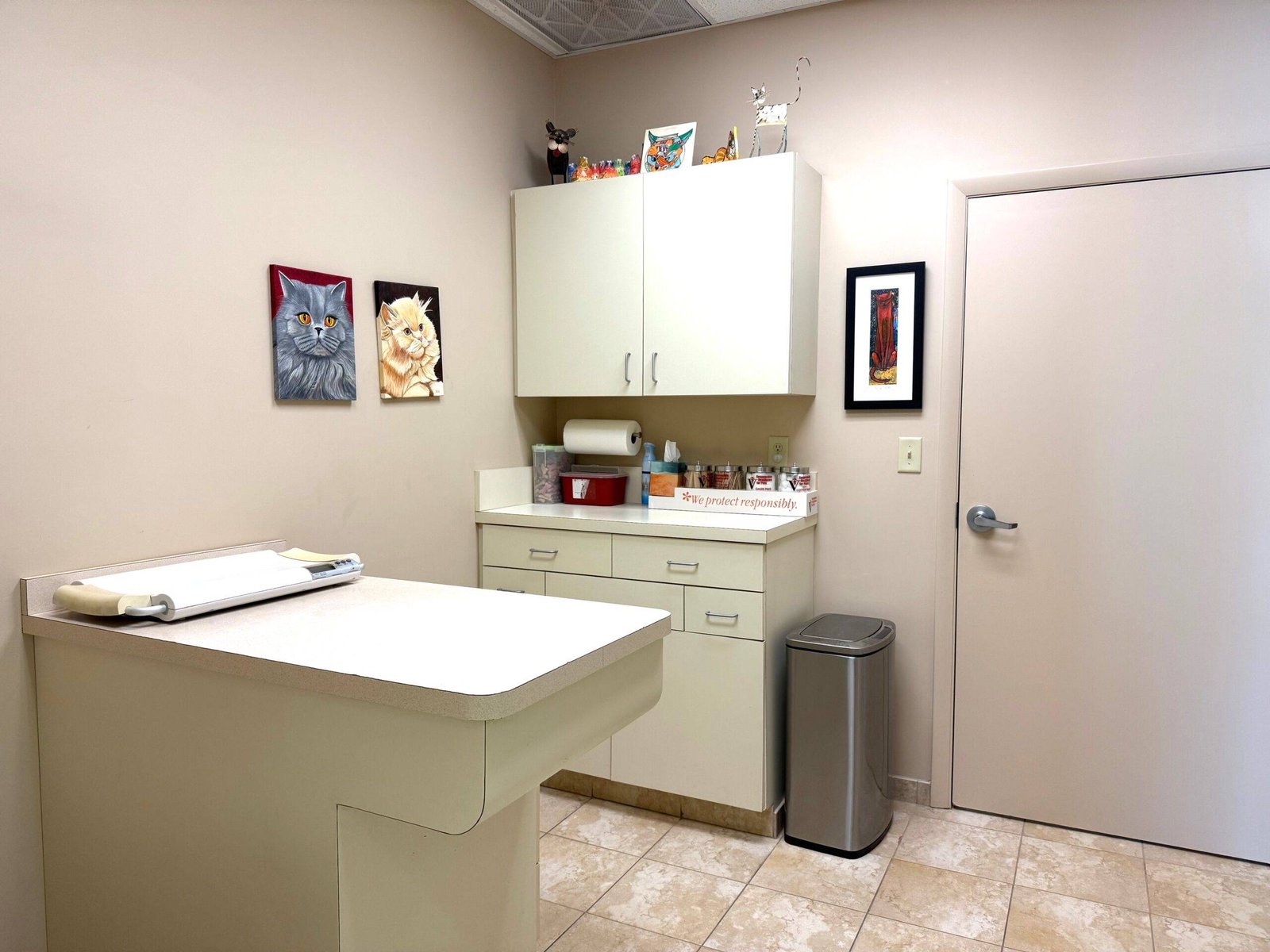 Thumbnail 2 of Floresta Animal Hospital