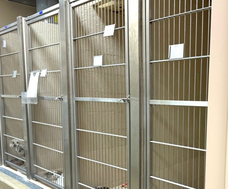 Stainless steel veterinary kennels with open compartments and attached information tags inside an animal care facility.