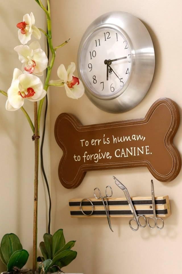 Wall decor in a veterinary clinic featuring a clock, orchid plant, grooming tools, and a dog-bone sign.