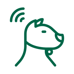 Dog Having Microchip