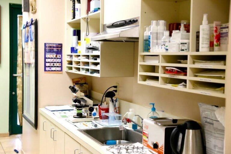 Veterinary lab workspace with a microscope, sink, medical supplies, and organized shelves holding medicines and paperwork.