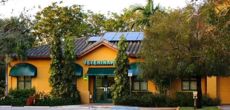 Front view of a yellow veterinary clinic building with green awnings, surrounding trees, and solar panels on the roof.”