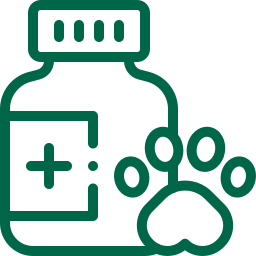 Medicine for pet icon