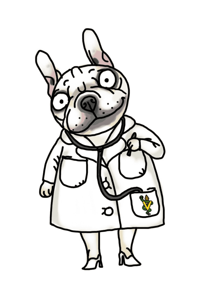 Cute cartoon French Bulldog dressed as a veterinarian, wearing a white coat and holding a stethoscope.