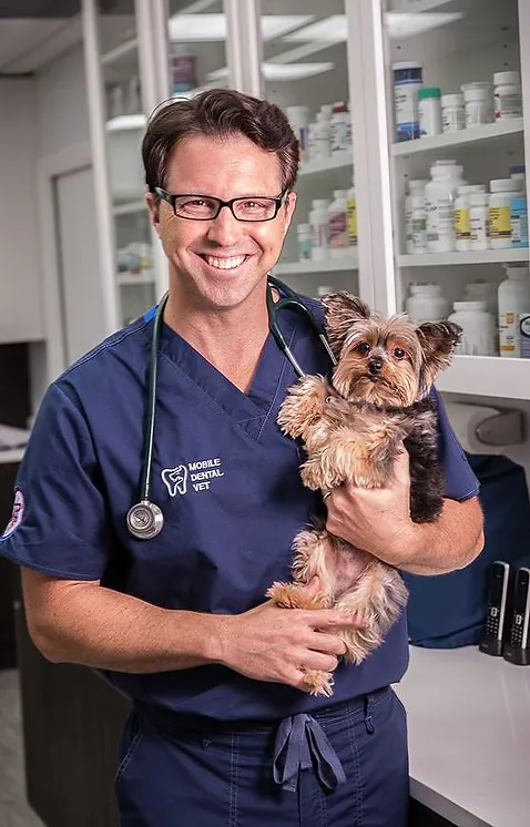 A veterinary professional carrying a small dog in the exam room