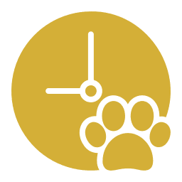 Pet appointment icon