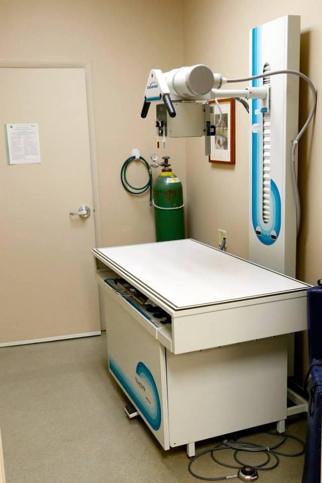 Veterinary radiology room with an X-ray machine, exam table, and oxygen tank arranged neatly against the wall.