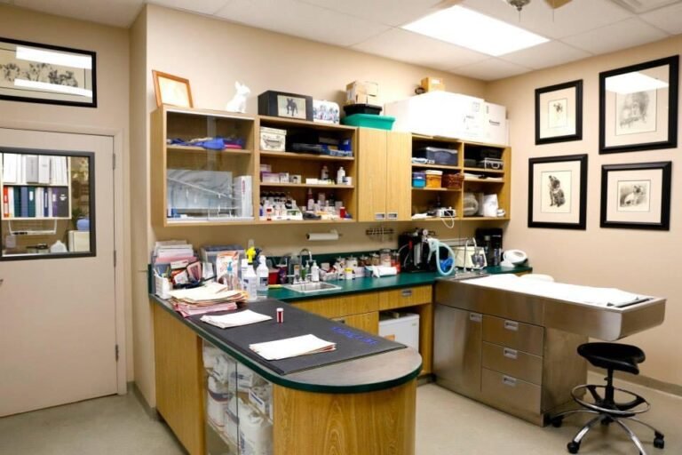 Organized veterinary treatment room with cabinets, medical supplies, an exam counter, and a stainless steel examination table.