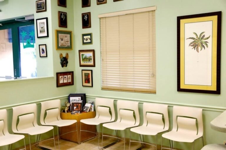 Bright veterinary waiting area with white chairs, framed artwork on light green walls, and a small corner table displaying pet photos.