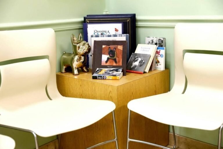 Veterinary waiting area corner with two white chairs, a wooden table displaying dog-themed books, and a small metallic dog figurine.